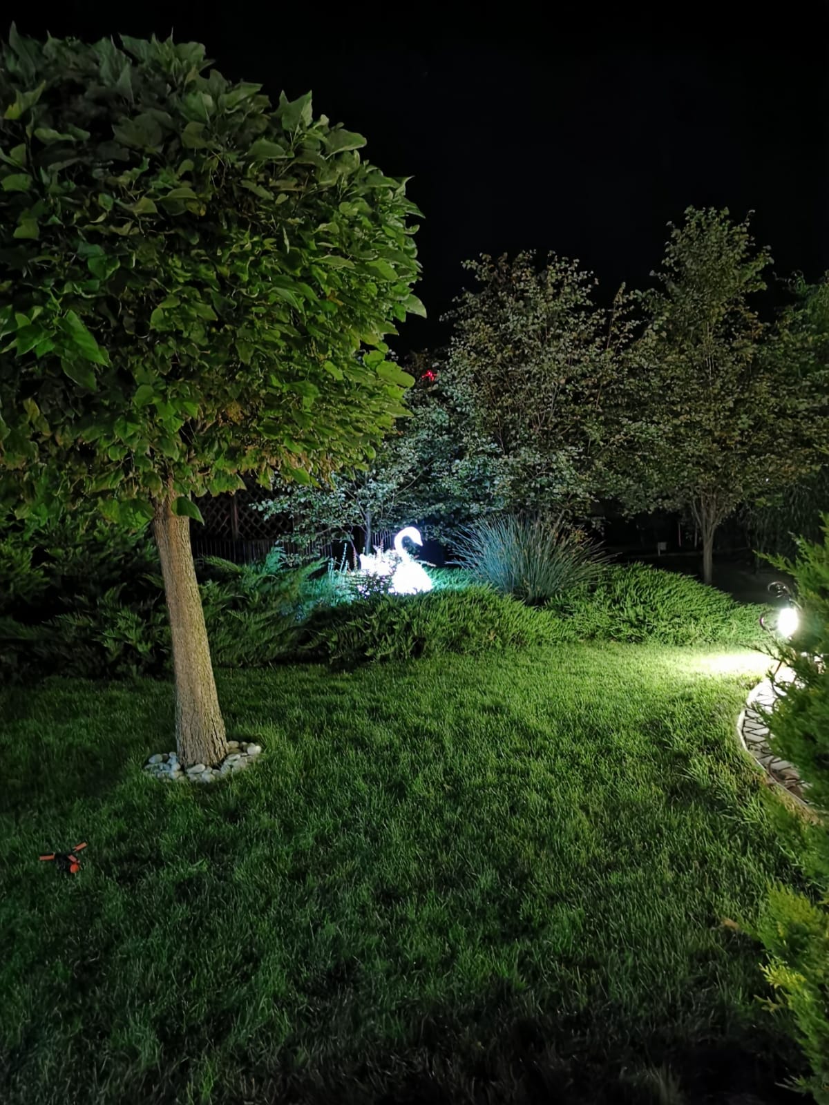 Фото Аквилон