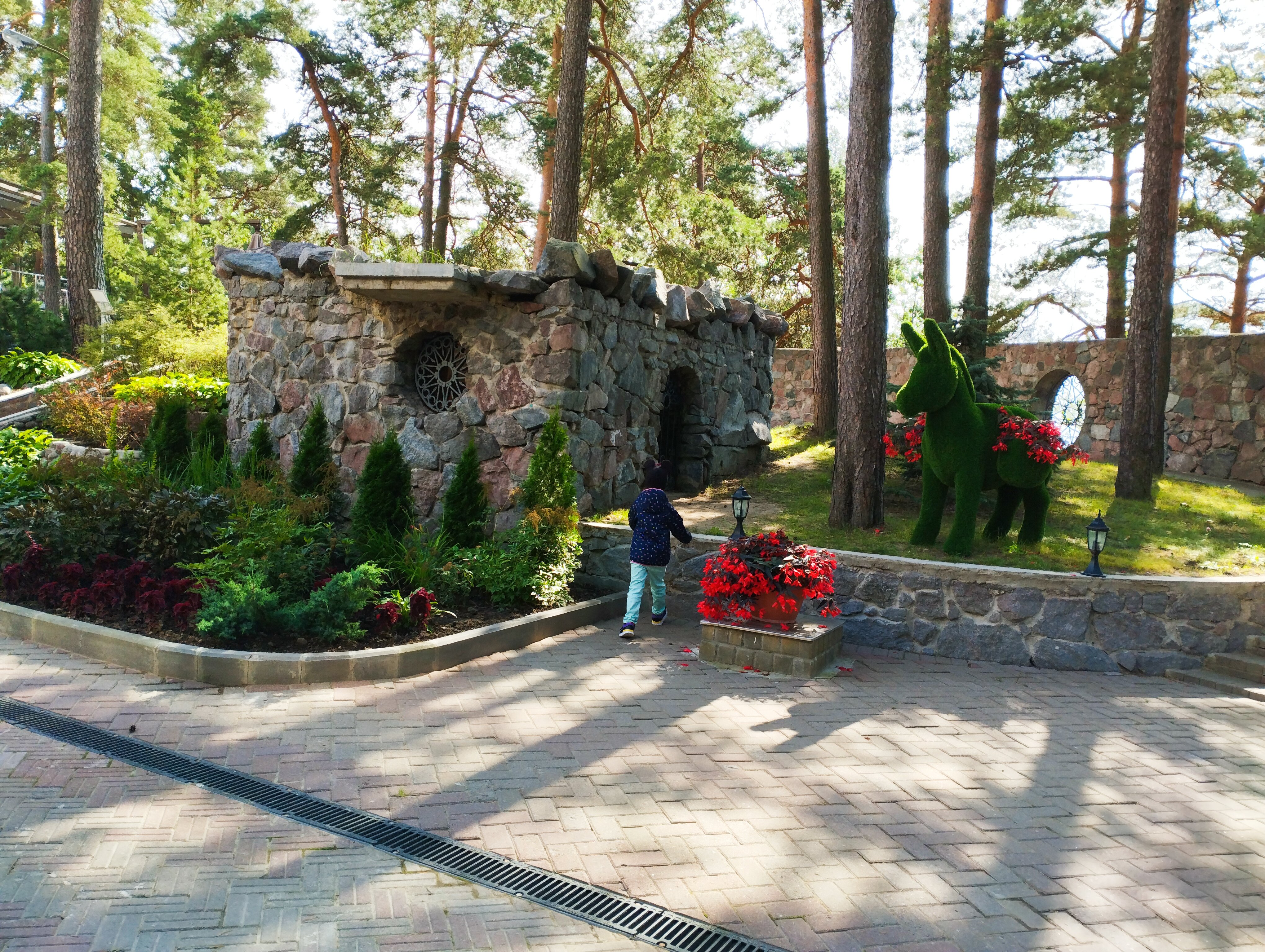 Фото Репино Парк Отель