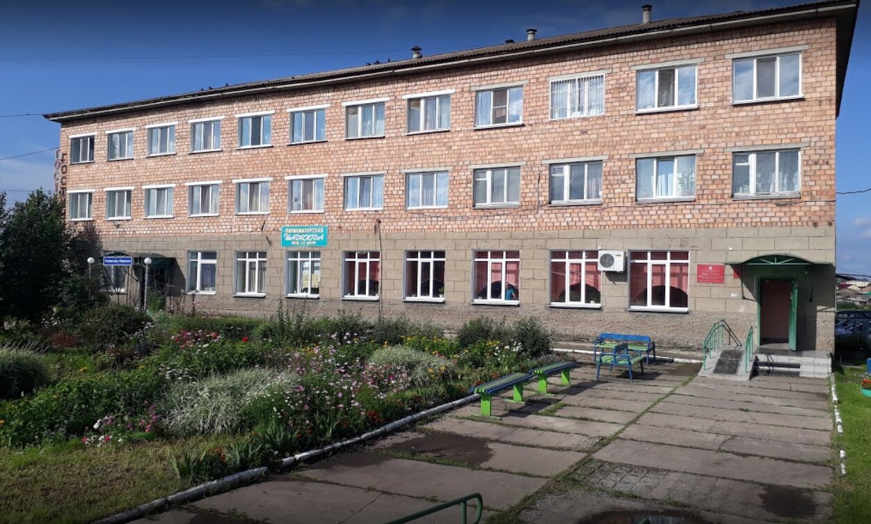 Фото Березка