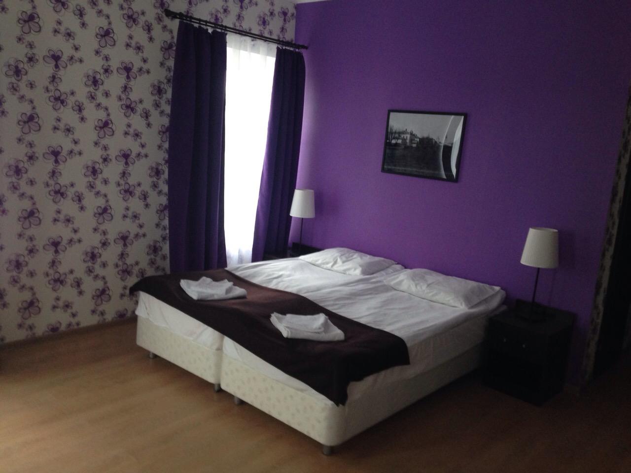 Фото Базилик 