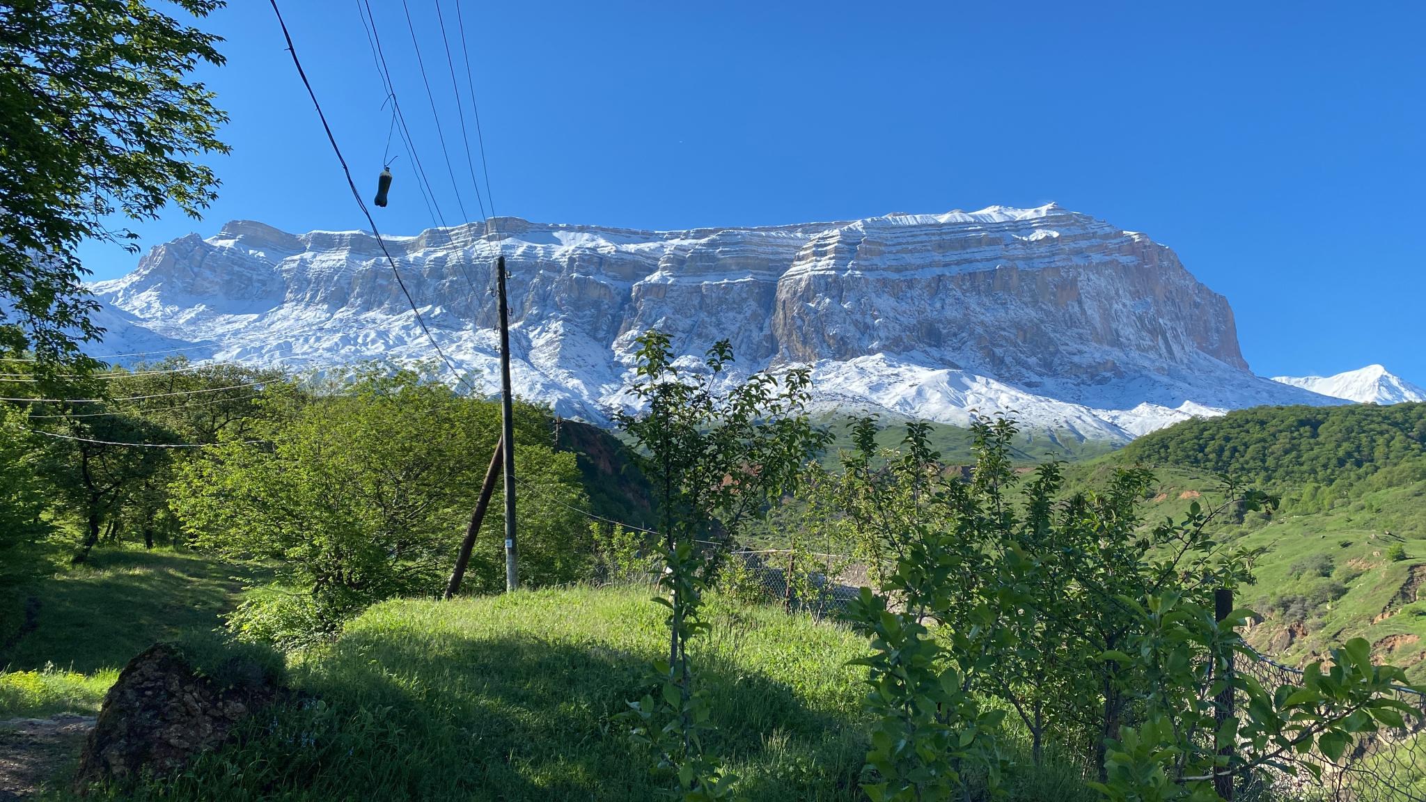 Фото Дубовая Роща