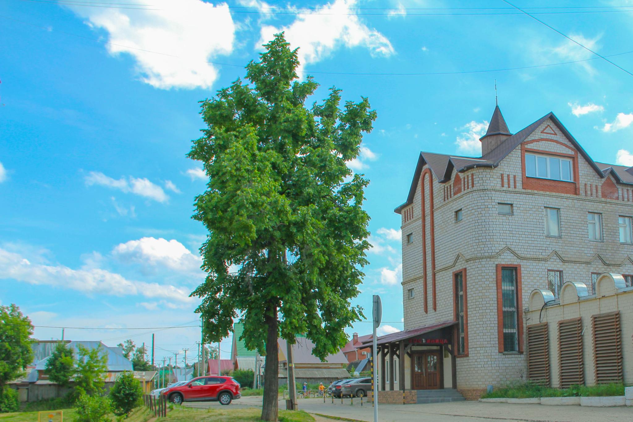 Фото отеля 5