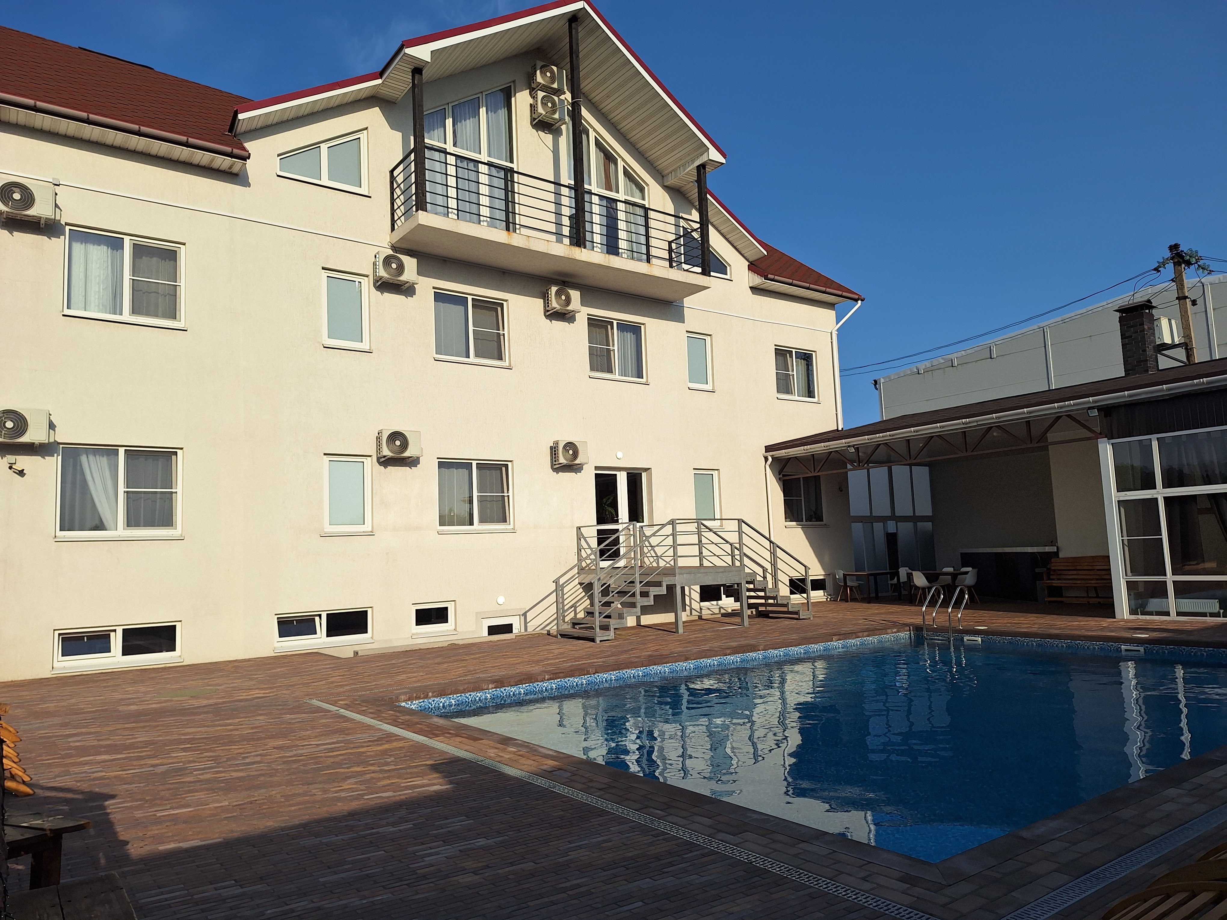 Фото Папоротник