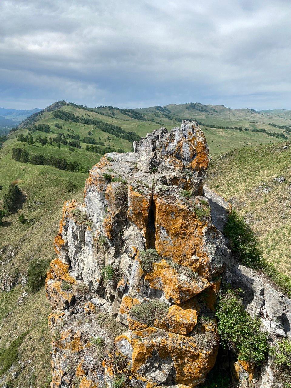 Фото АлтайЭкоКедр