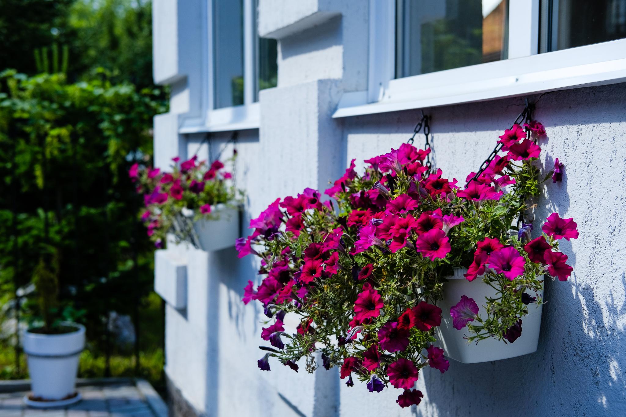 Фото Галерея