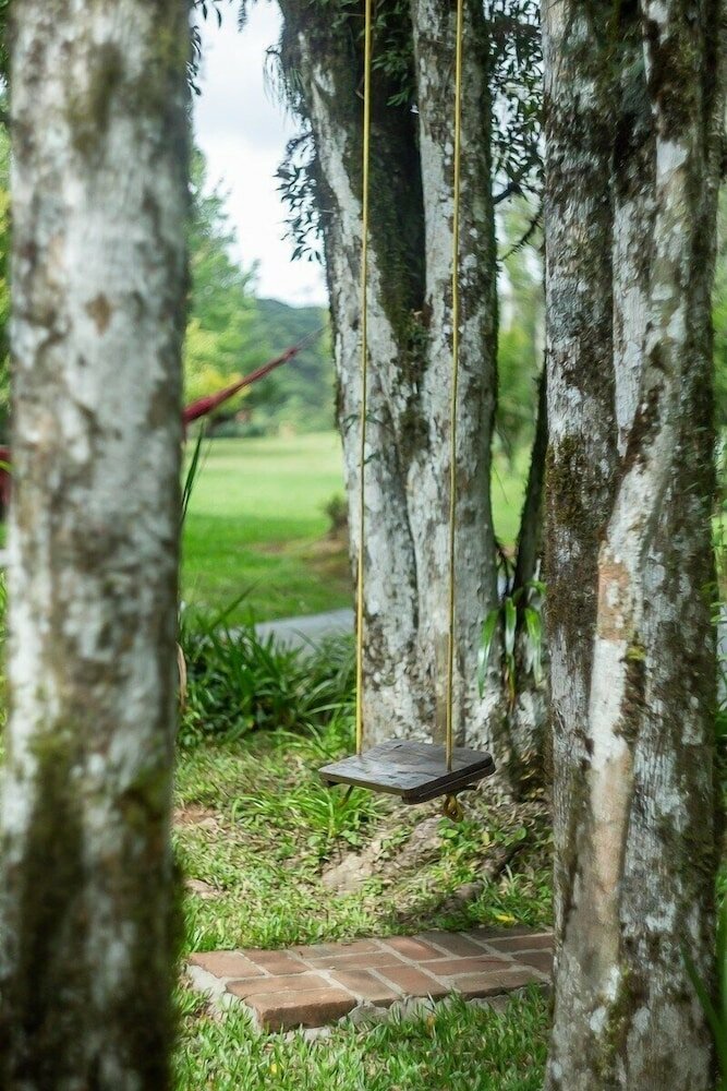 Фото Sítio Cogumelos Montanhês
