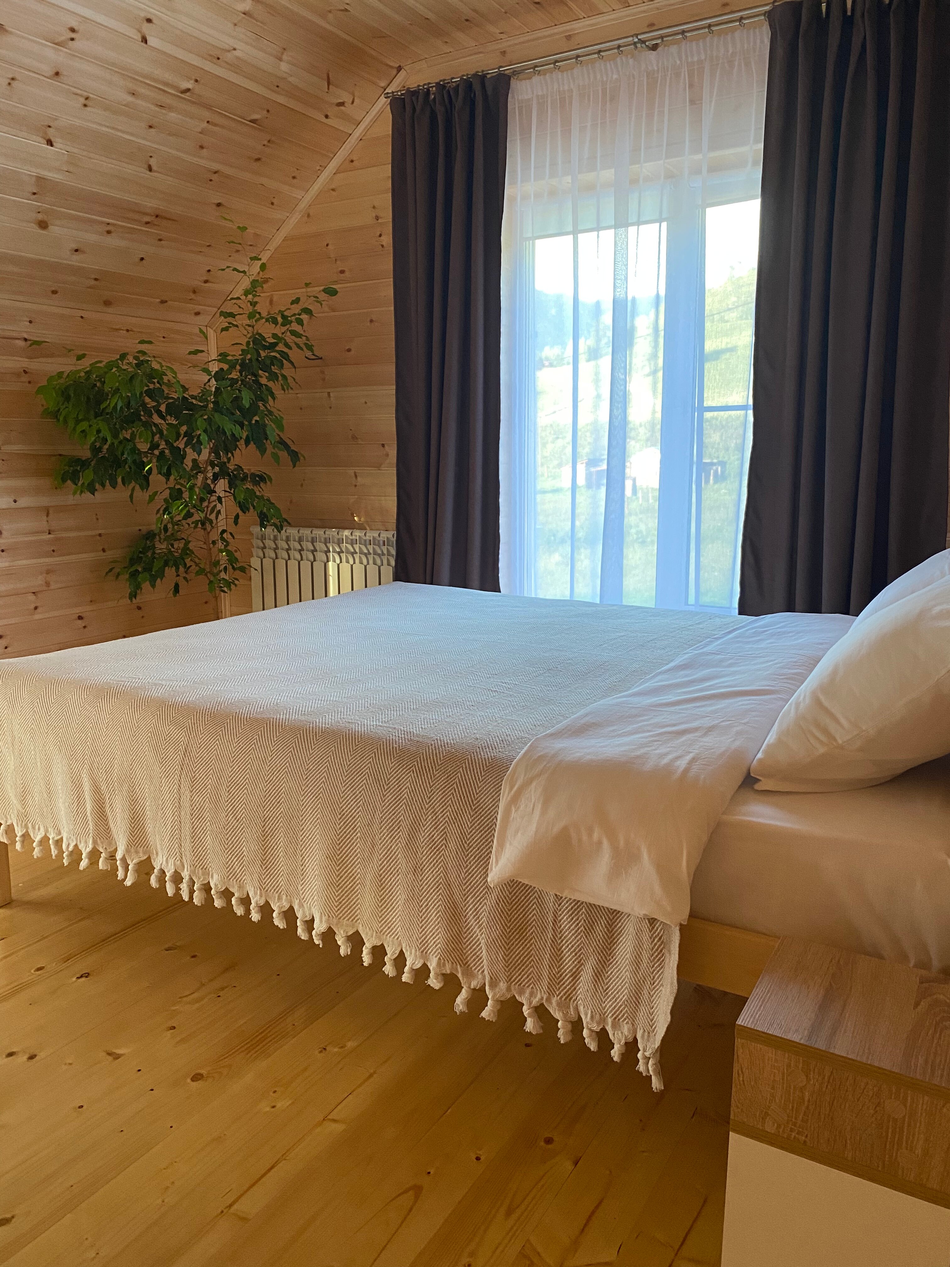 Фото Шишкин лес