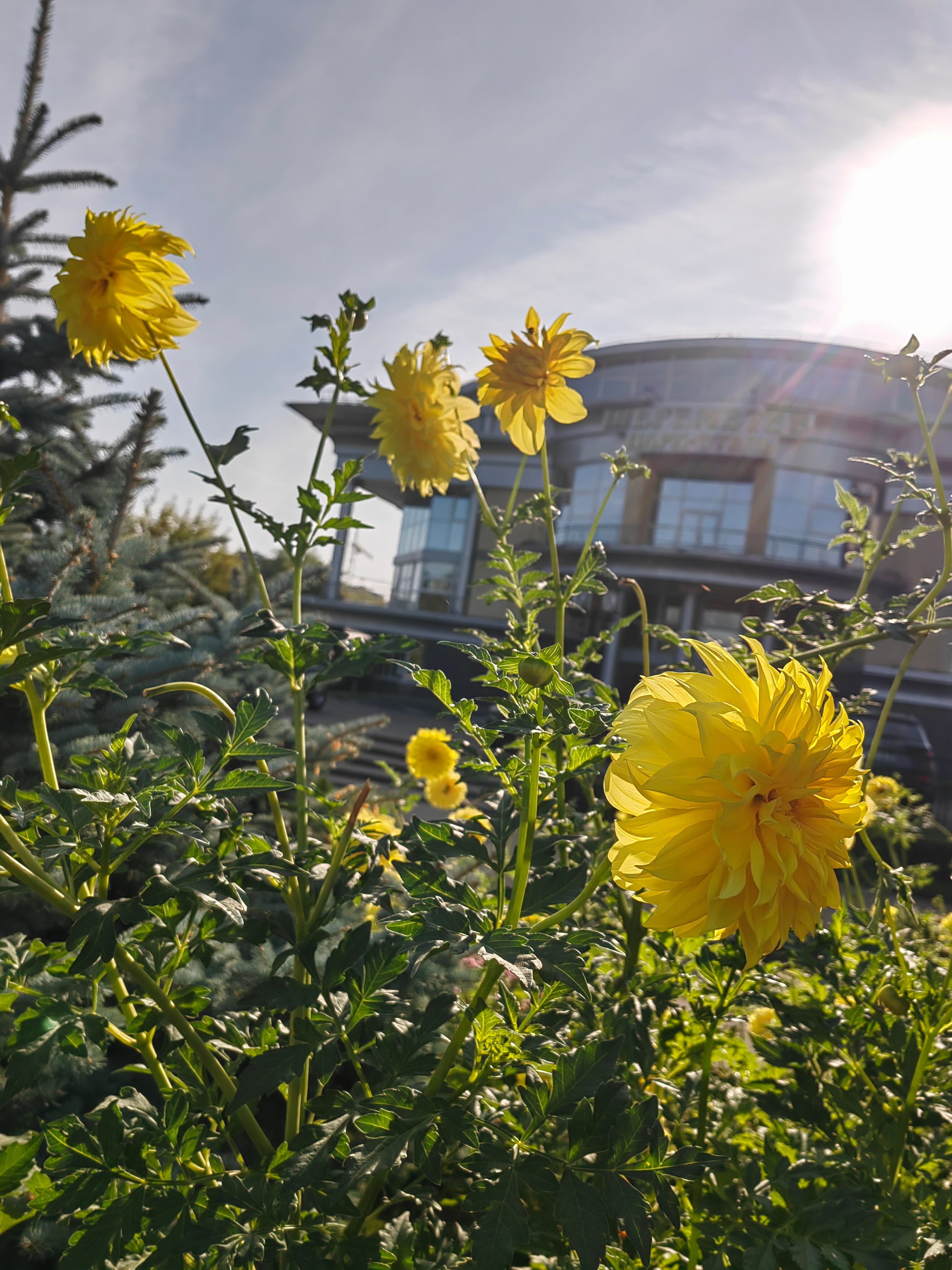 Фото Шереметев Парк-Отель