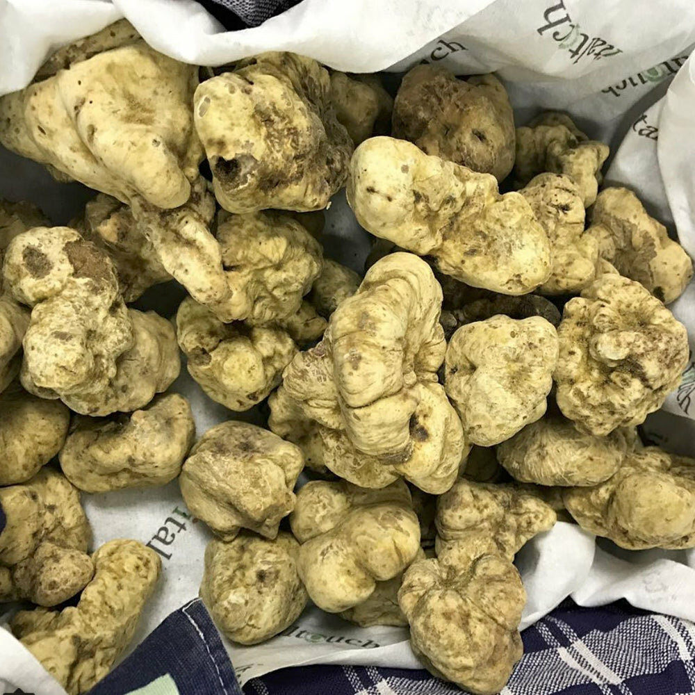 Food ingredients and spices Italtouch, Dubai, photo