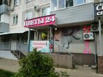 Флорист (просп. Строителей, 51, Иваново), магазин цветов в Иванове