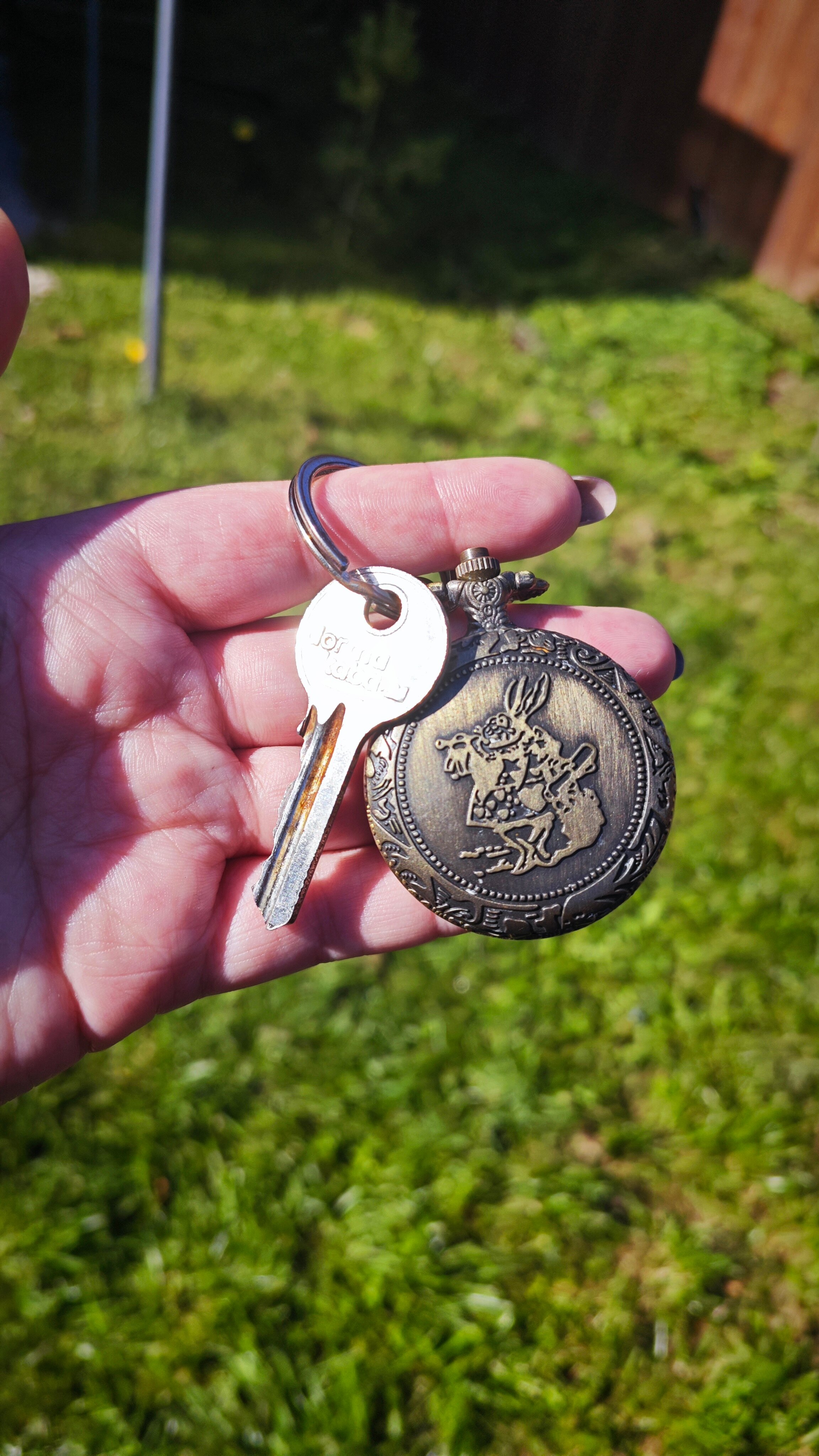 Фото Белый Кролик