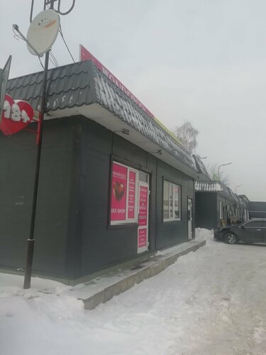 Дачадағы жалаңаш ханымдар