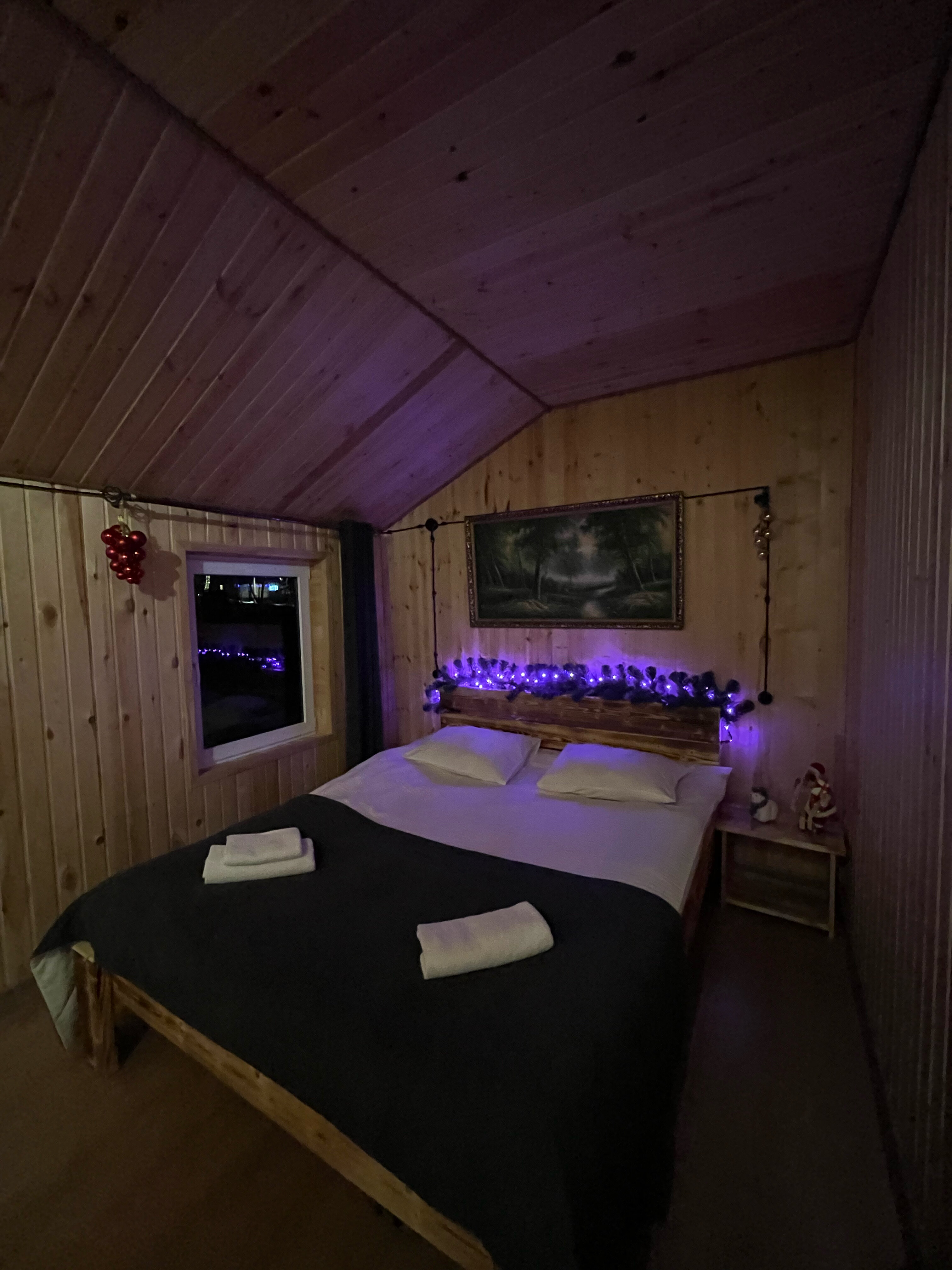 Фото Шале Viking Arkhyz