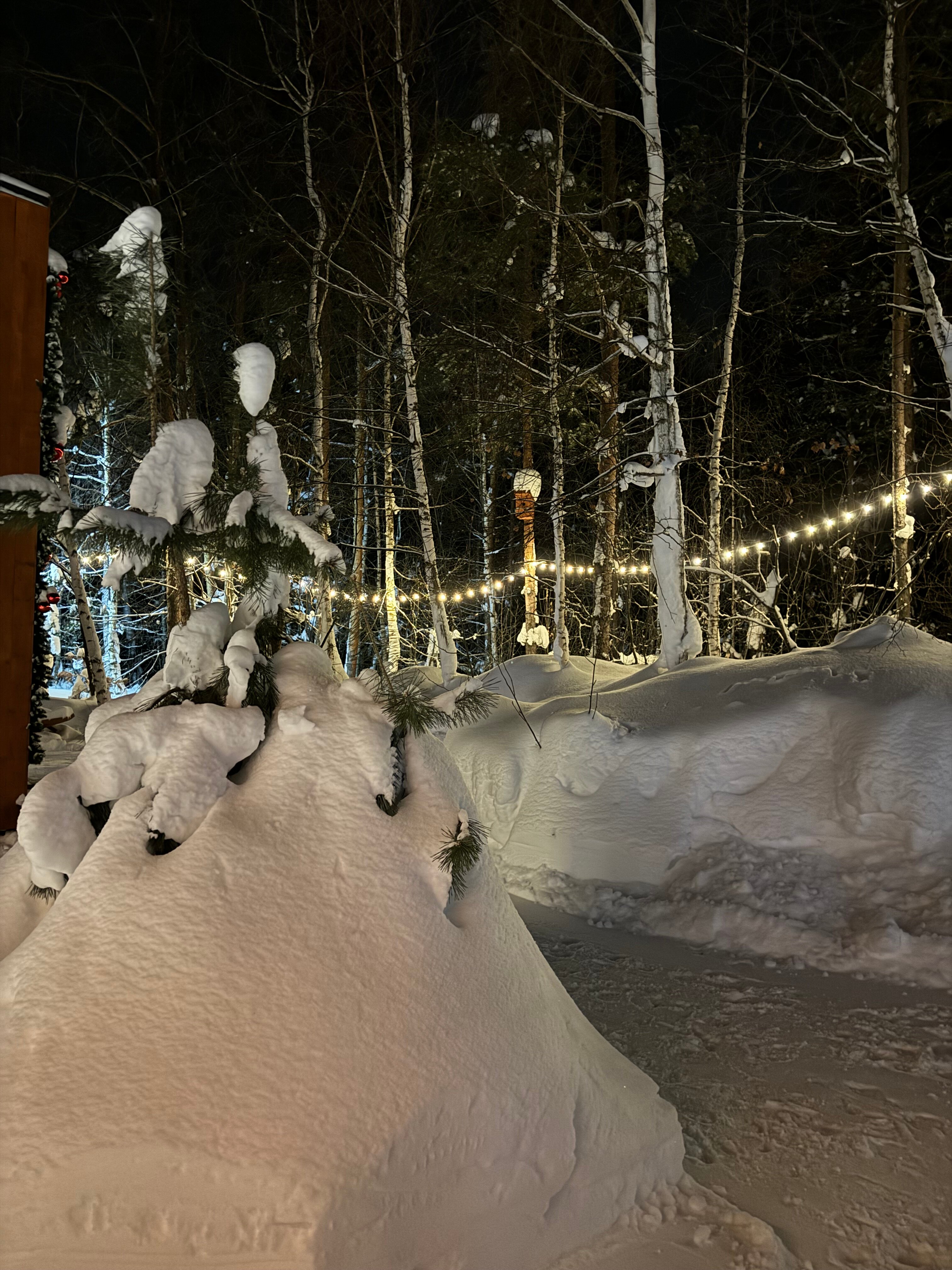 Фото Seclusion home