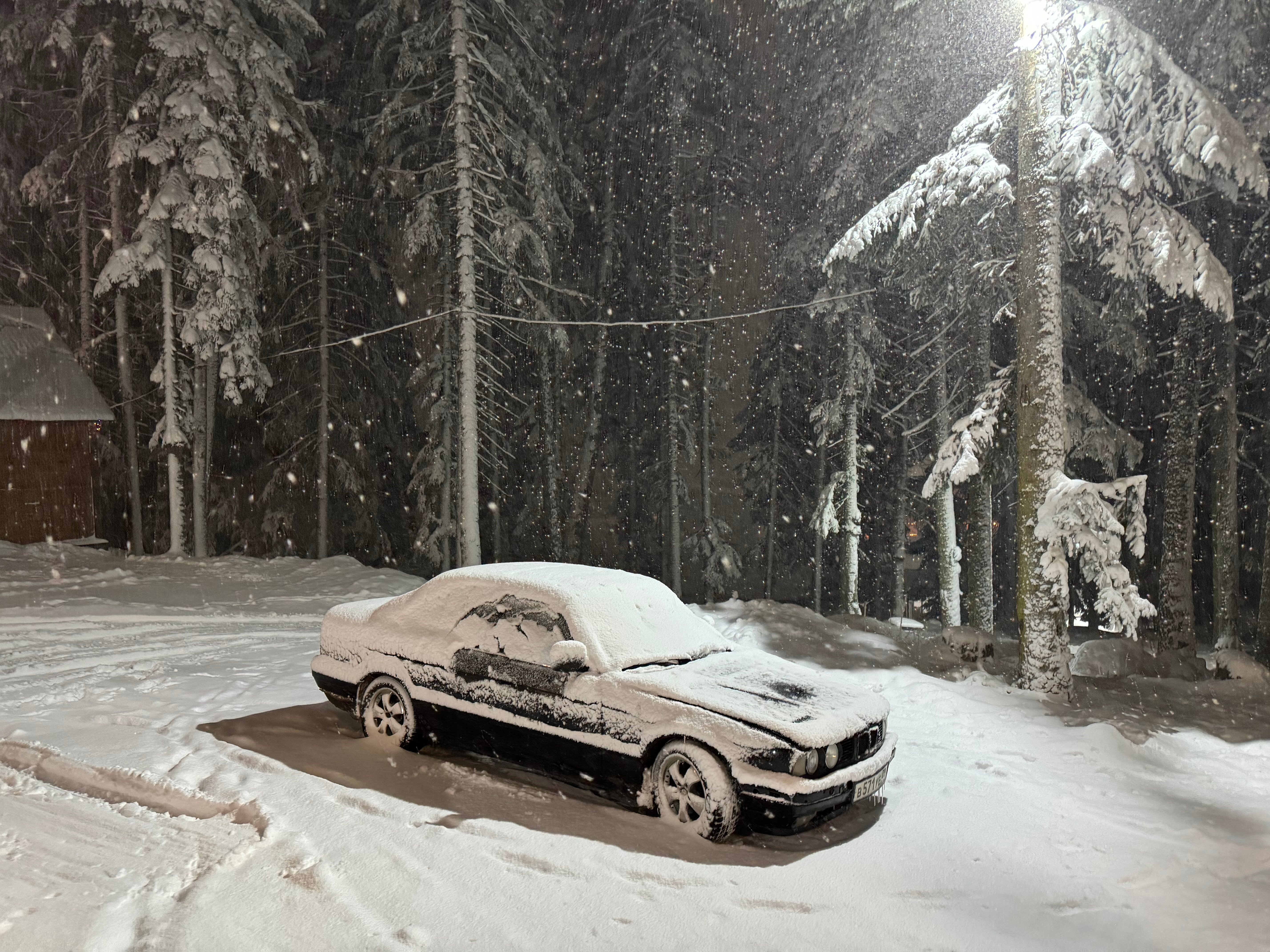 Фото Хижина