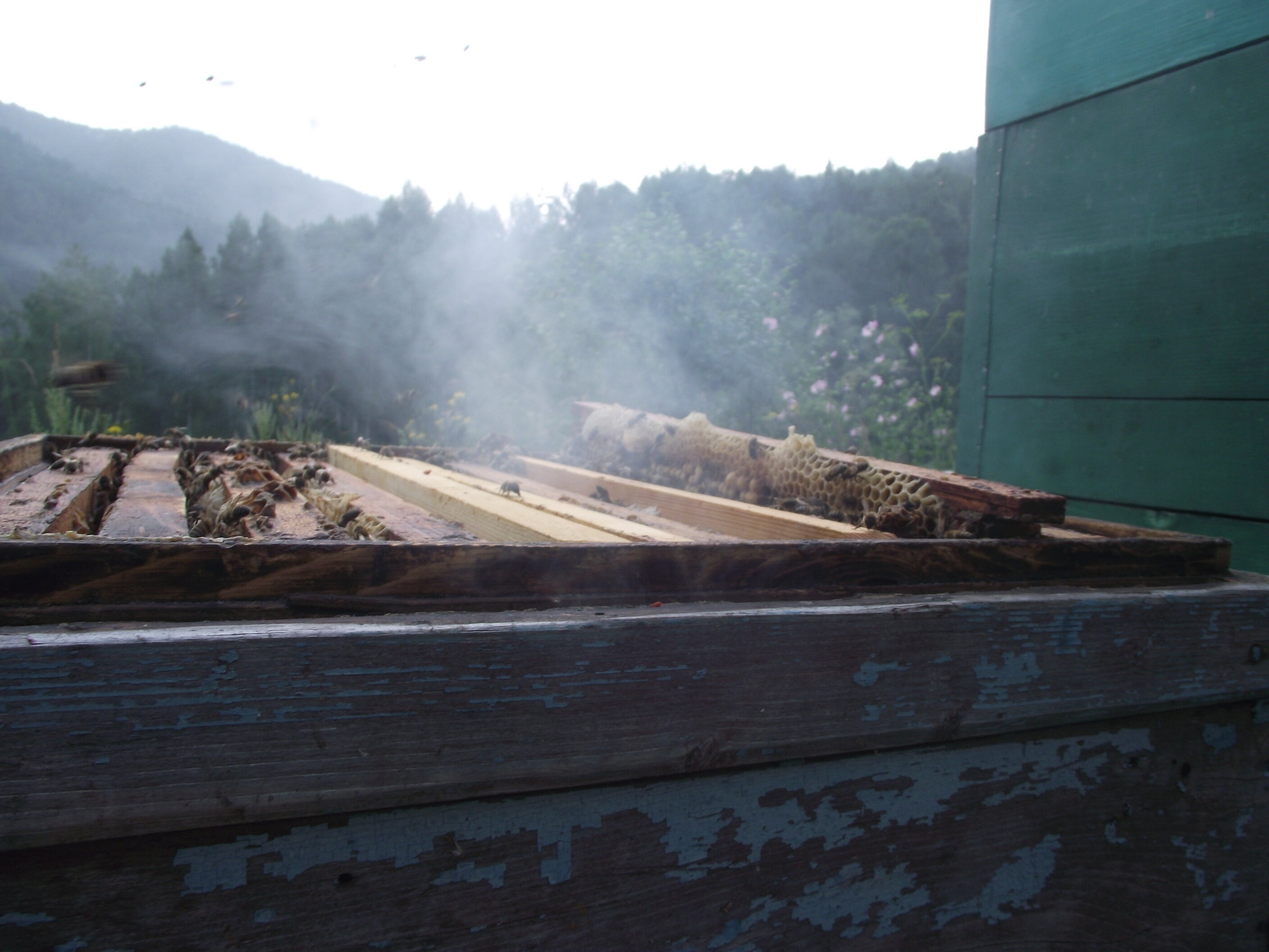 Фото Тихий Лог