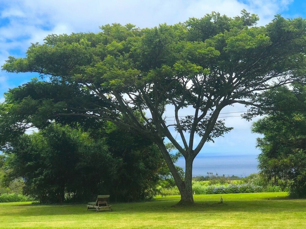 Фото Puakea Ranch