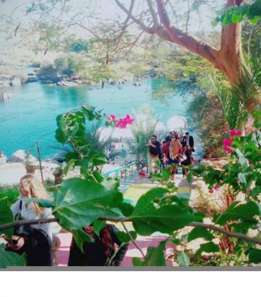 Фото Nubian Farm