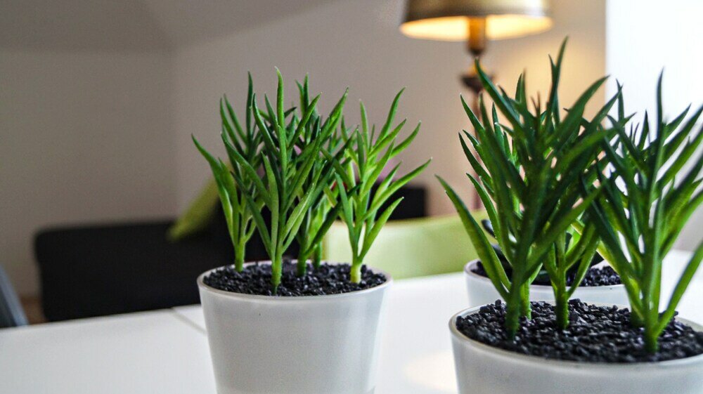 Фото Modern Apartment in The Heart of Vienna 3