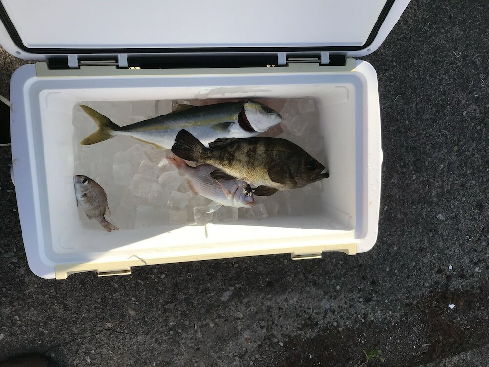 Фото B&b Mikawa - Kanazawa Fish Harbour