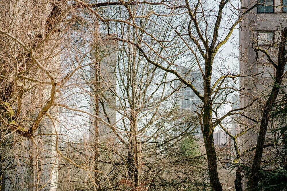 Фото Stylish Minimalism in Kirchberg