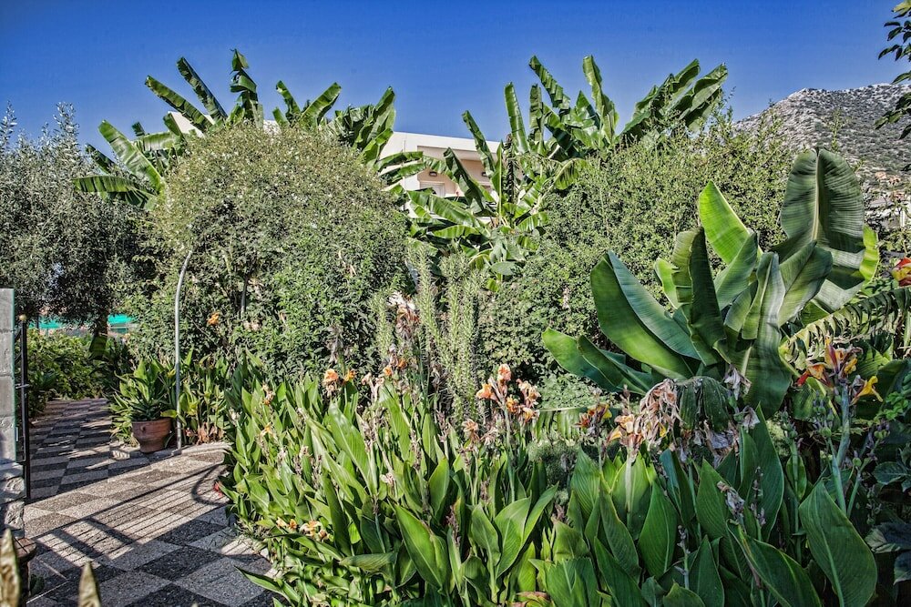 Фото Bali Dorian