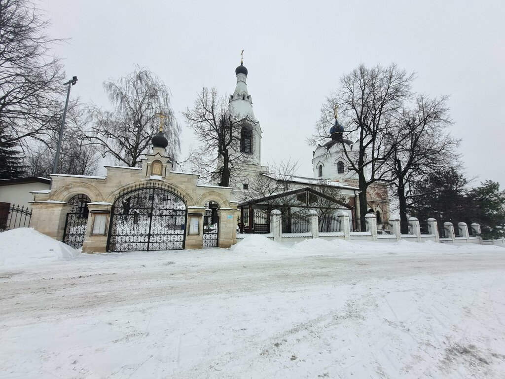 Православный храм Церковь Космы и Дамиана, Москва и Московская область, фото