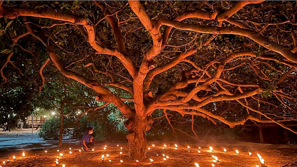 Фото Peam Snea Resort