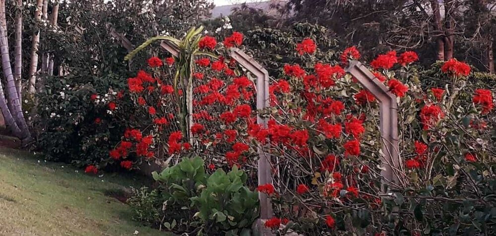 Фото Hirondelle Paraíso