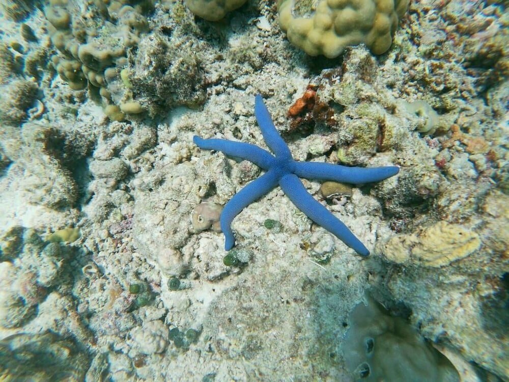 Фото One The Island