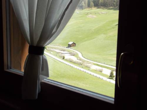 Фото Hotel Primula