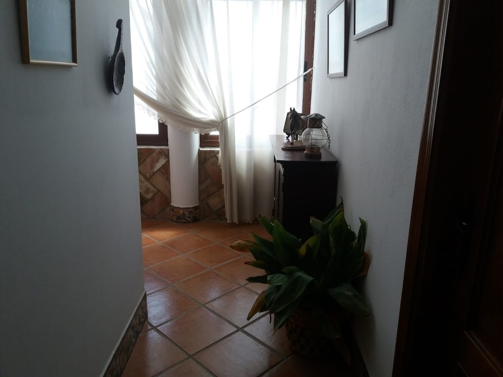 Фото El Perro de Paterna