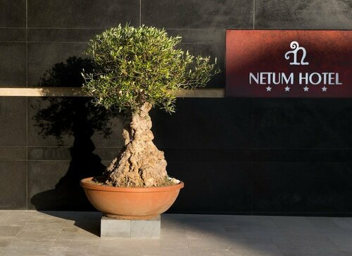 Гостиница Netum Hotel в Ното