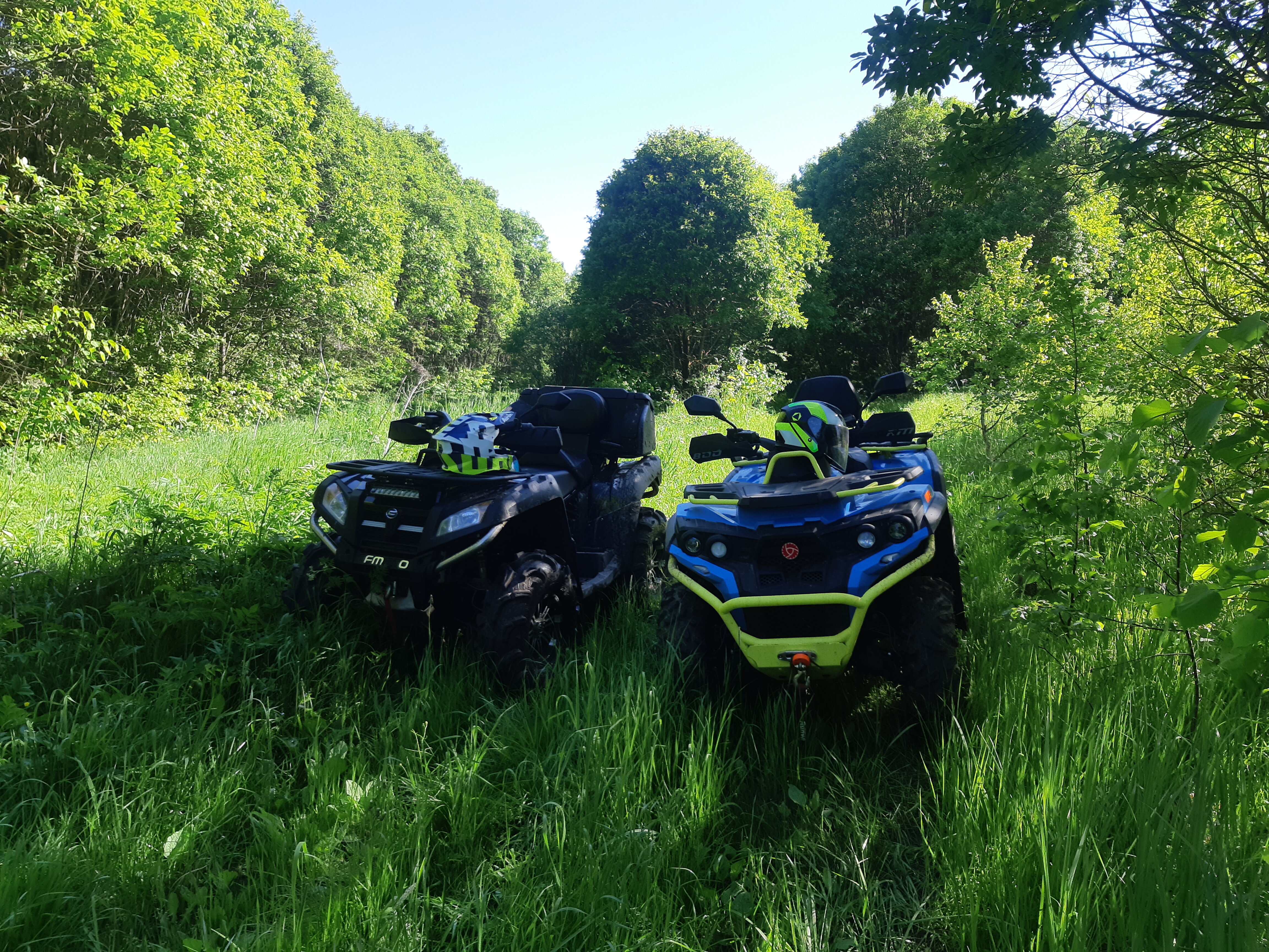 Фото Вилла Your Friends Tarusa