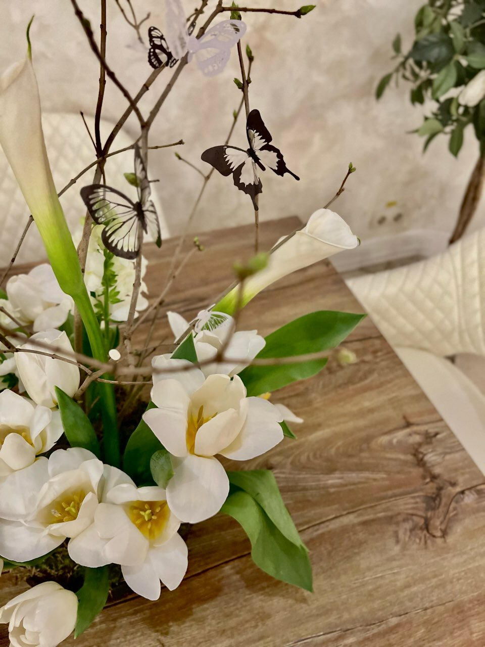 Фото Дон Кихот