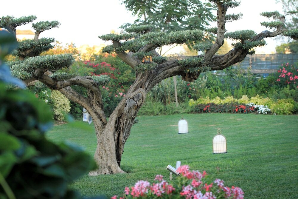 Фото Grand Hotel da Vinci