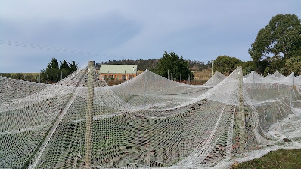 Фото Charles Reuben Estate