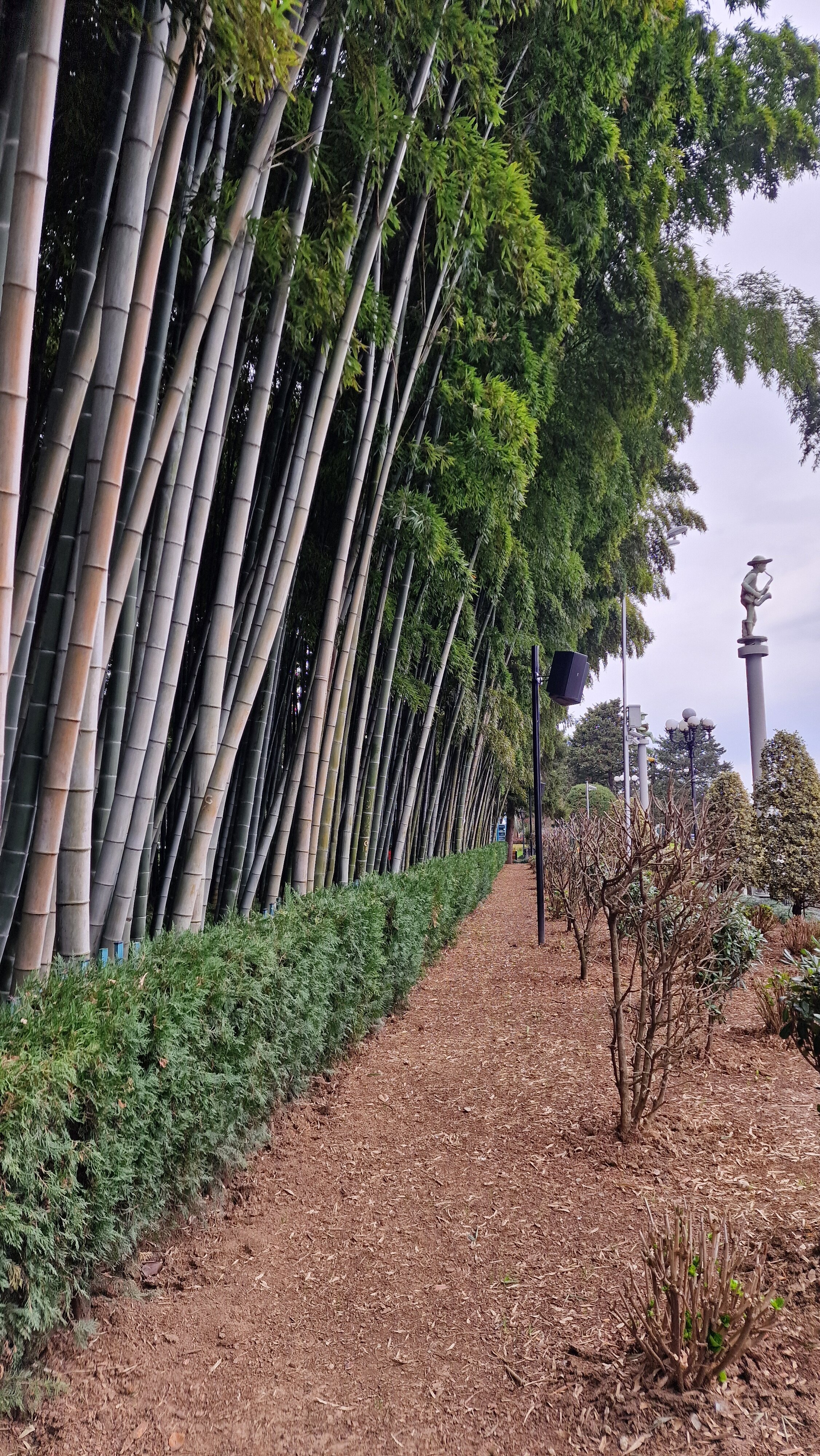 Фото Батумский бульвар