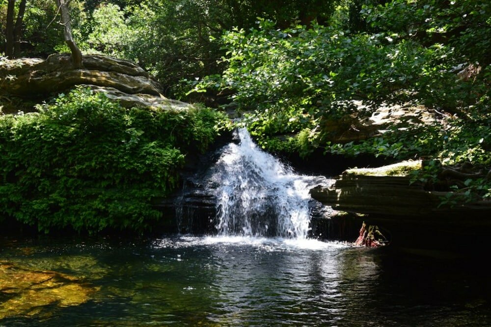 Фото Allegria Family Hotel