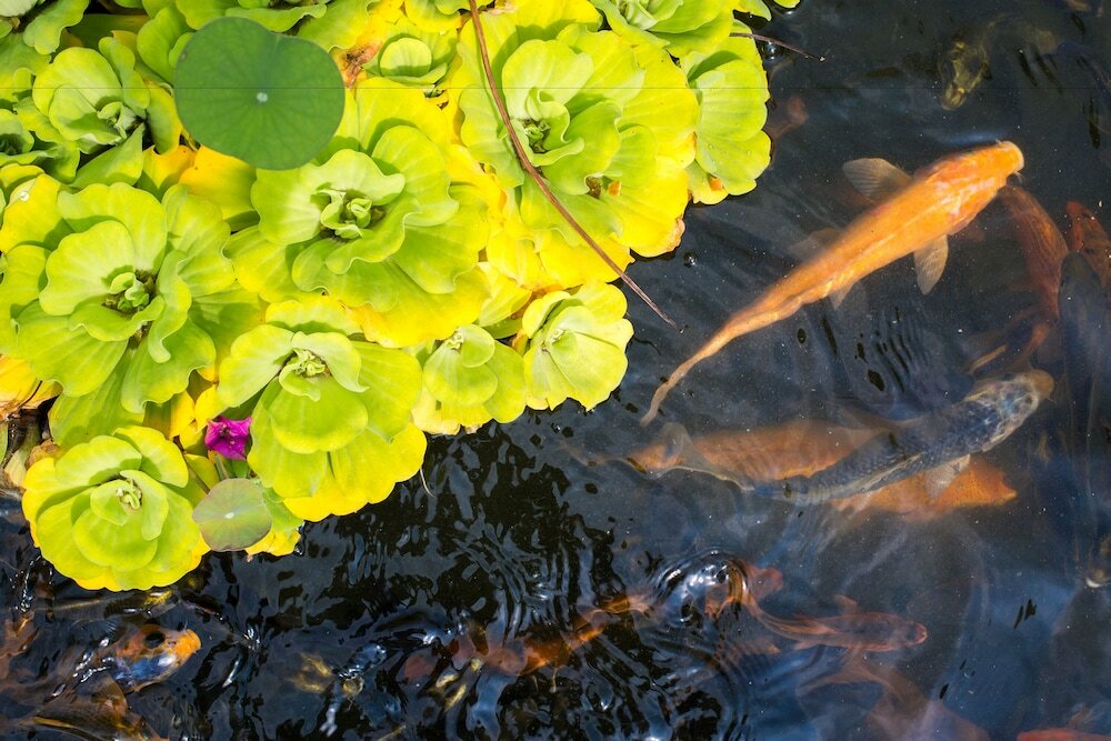 Фото Villa Seriska Satu Sanur Bali
