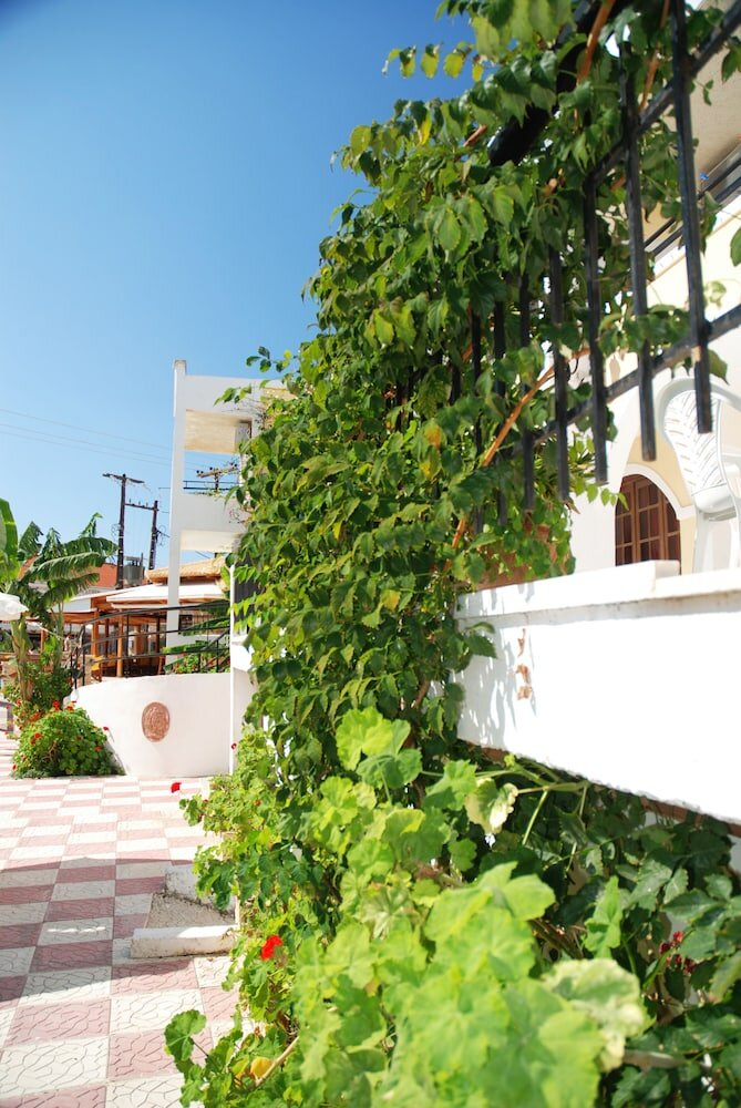 Фото Vanessa Hotel