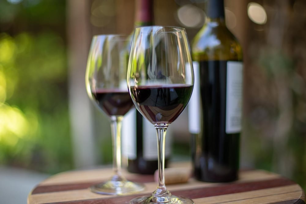 Фото Elm House Inn