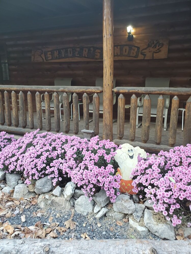 Фото Snyder's Knob Bed and Breakfast