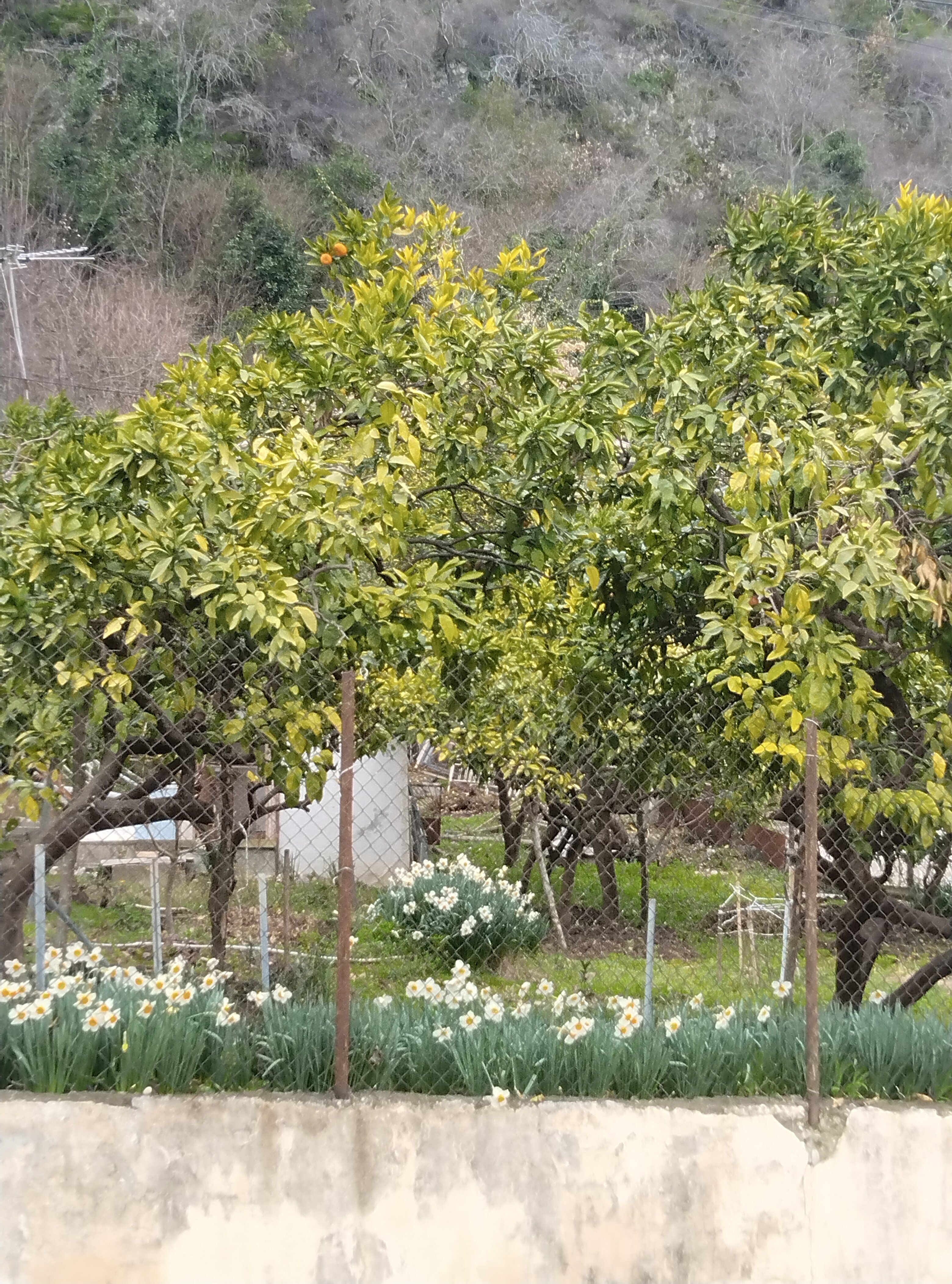 Фото Отель Никополи