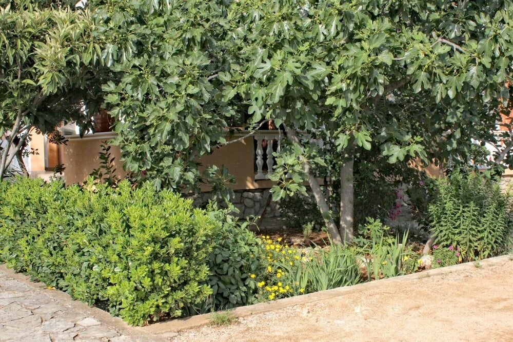 Фото Slavica - Free Parking - A2 Veliki