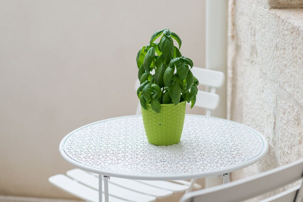 Фото Casetta Biancapietra by Wonderful Italy