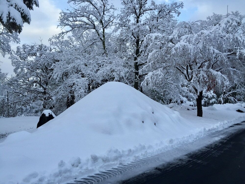 Фото Fuji Mihana Resort
