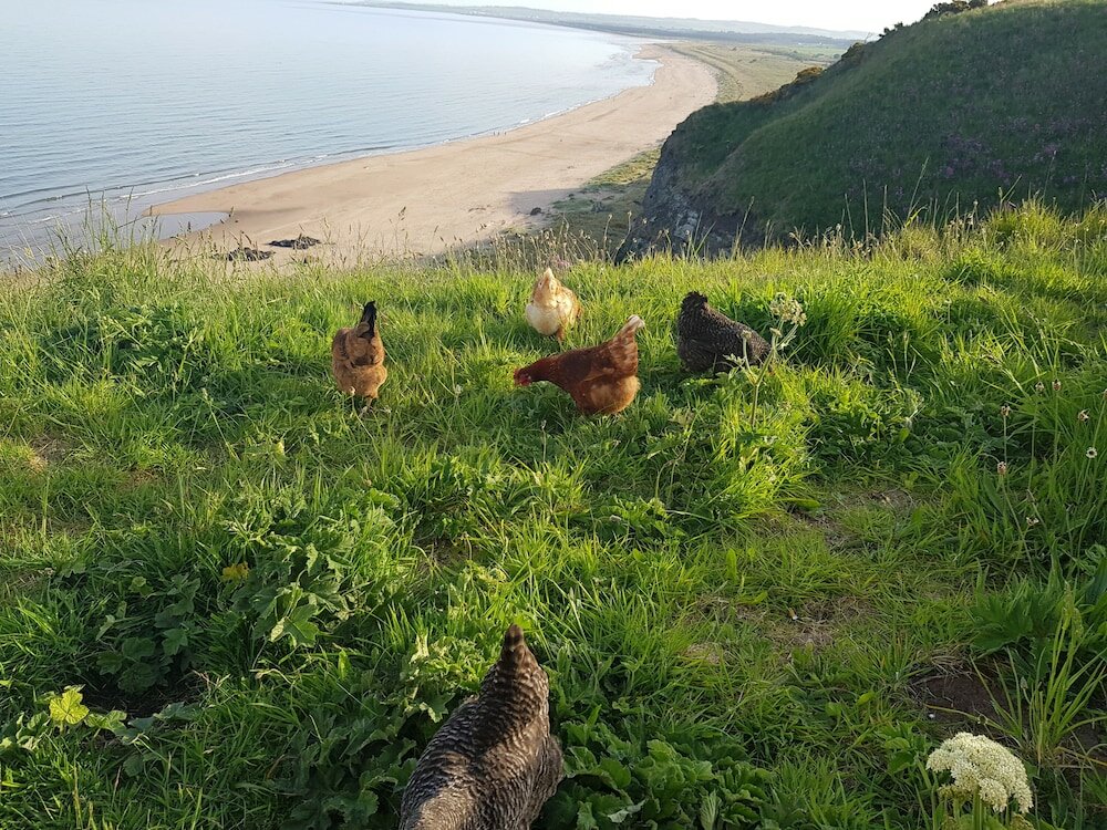 Фото Woodston Fishing Station