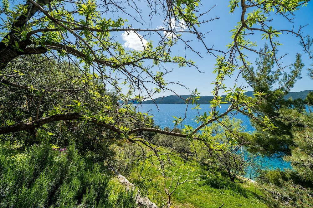 Фото Apartment Kia