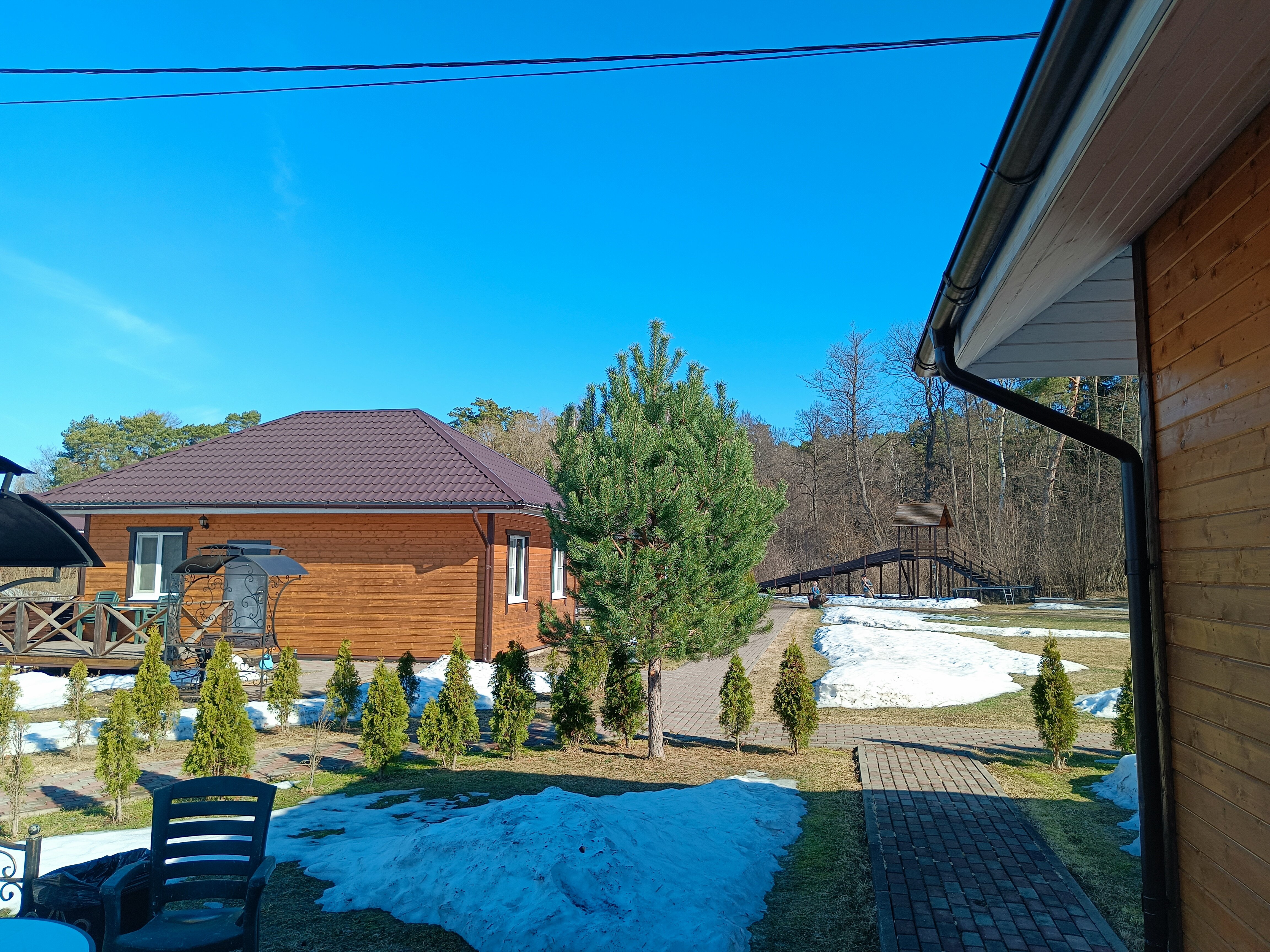 Фото Лесные поляны